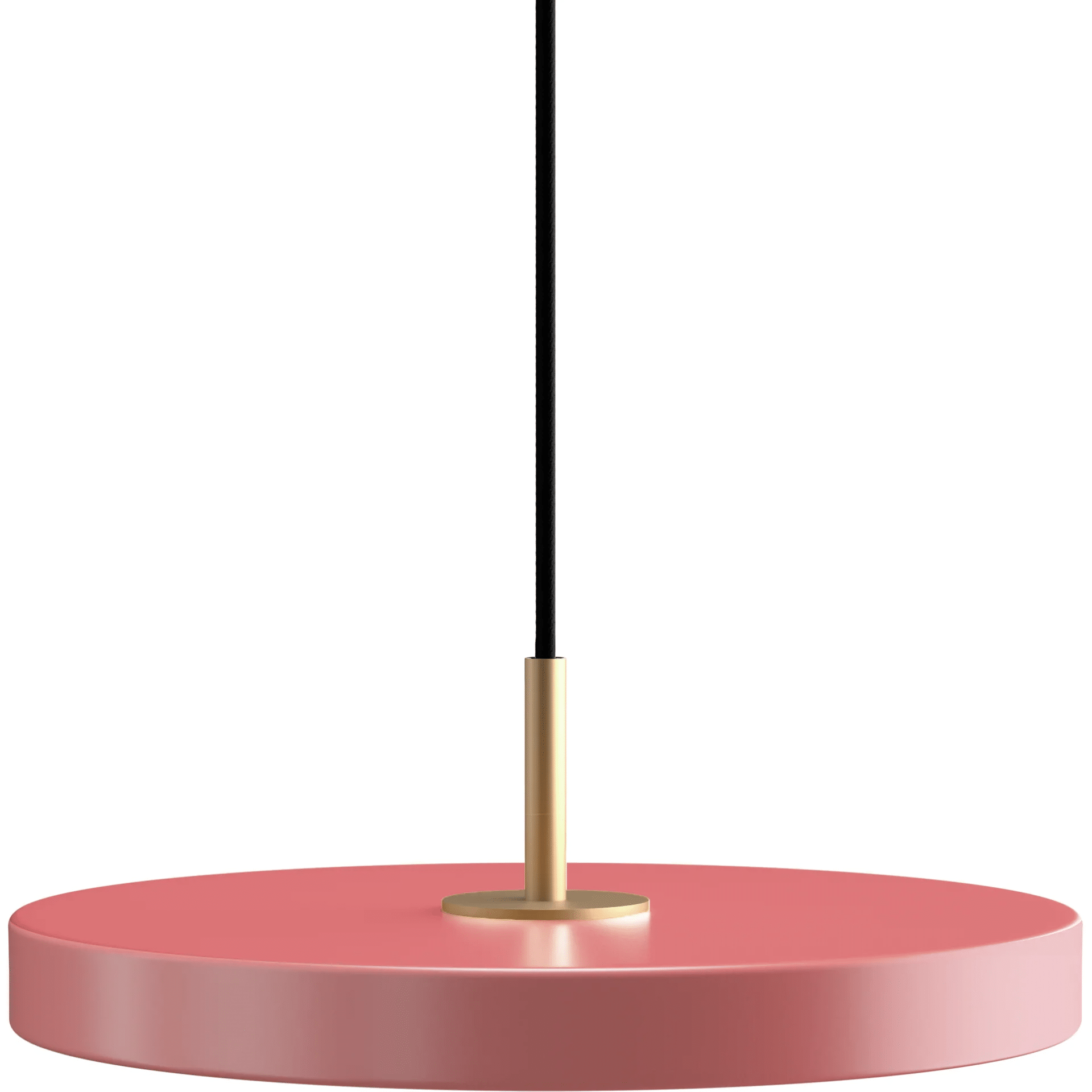 ASTERIA Ø31 ROSE PENDEL